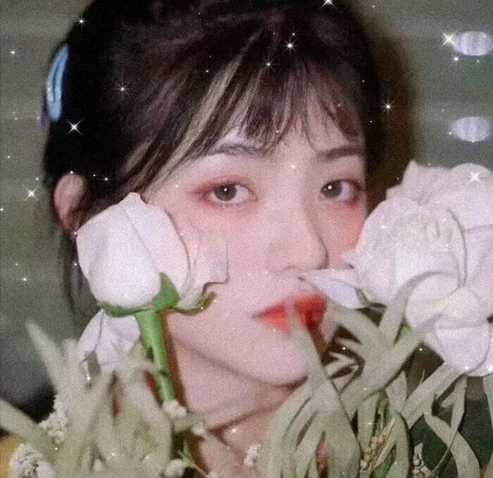 歌舞仙姬
